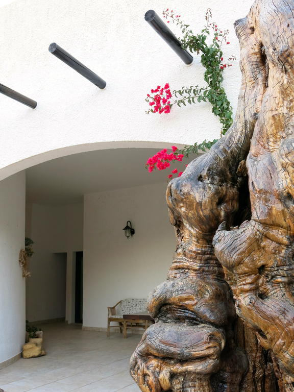 Agriturismo Tenuta Del Morige Galatone Værelse billede